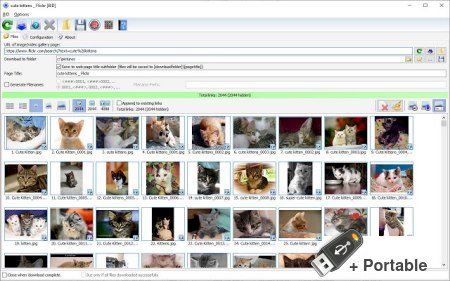 Bulk Image Downloader v6.28 + Portable